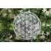 Blume des Lebens